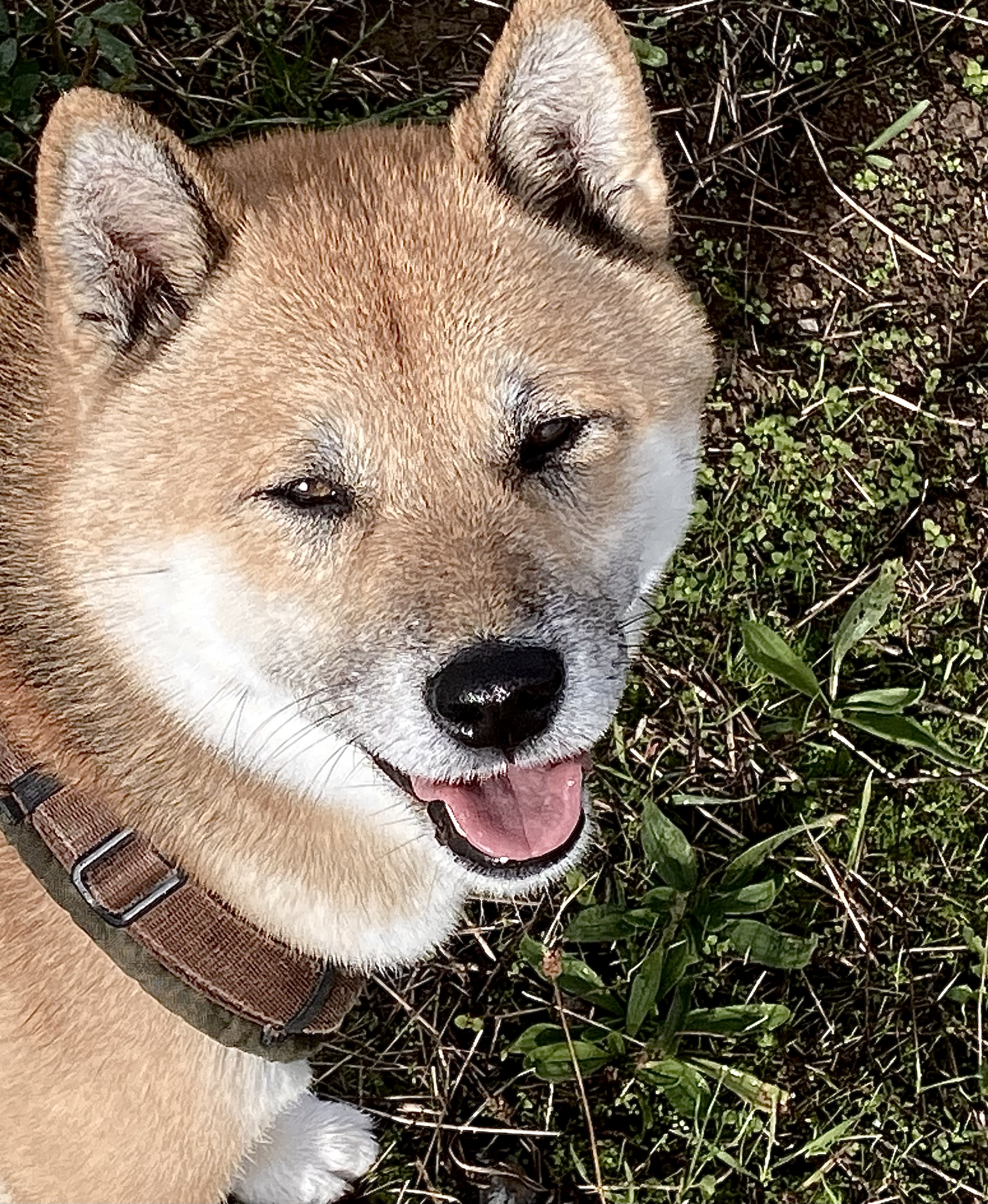 🐾 Meine Menschen, ihr seid mutig – aber auch ein bisschen … na ja.